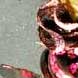 Isrupt (sequins), 2012