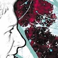 Book cover for poetry collection
