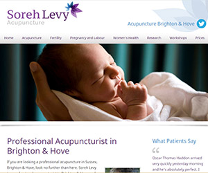 Soreh Levy Acupuncture screenshot